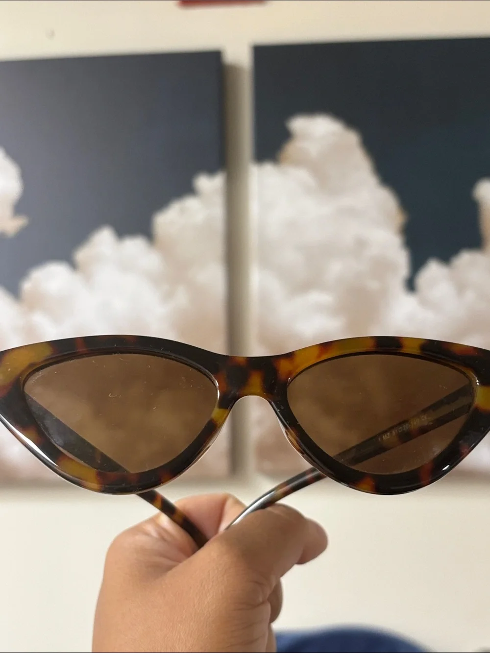 Sonos Tortoiseshell Cat-Eye Sunglasses with Brown Lenses